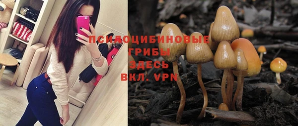 экстази Арсеньев